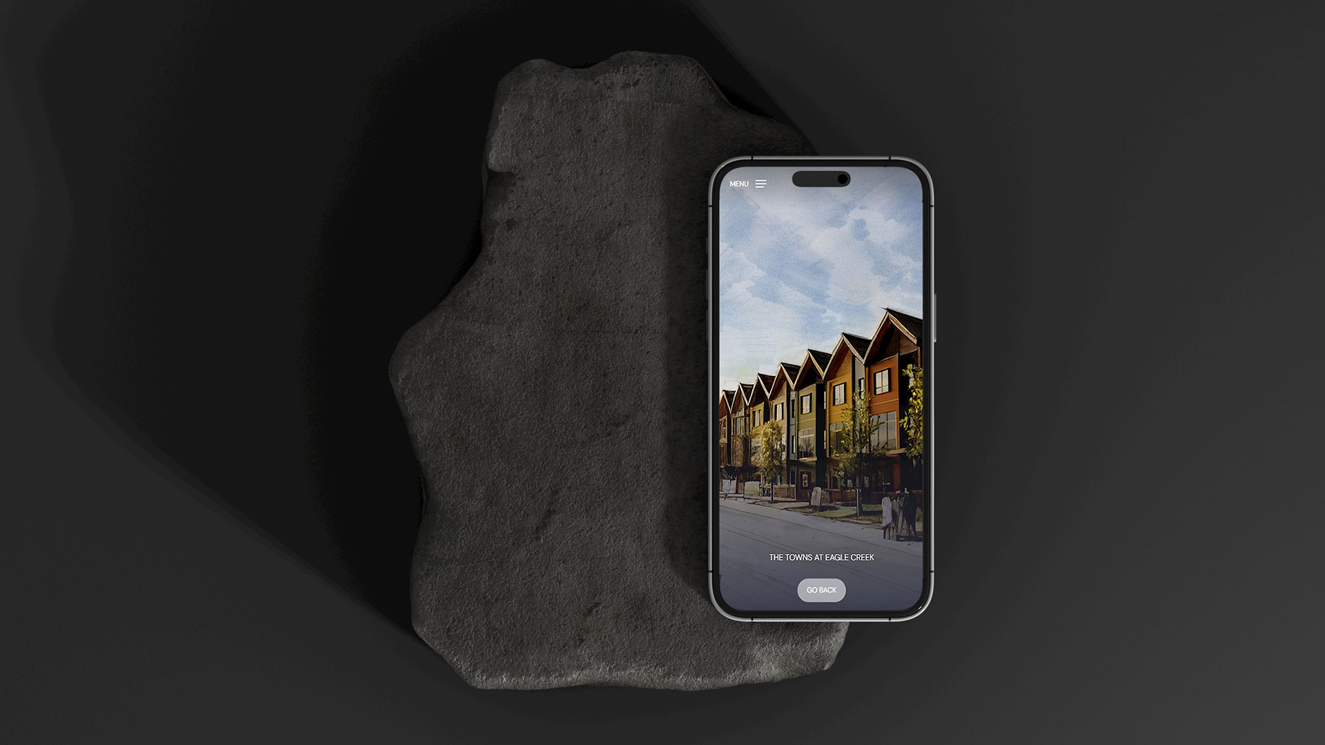 Portfolio Image